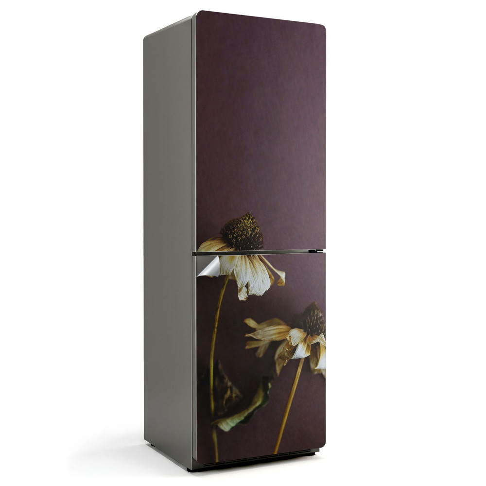 Fólie na lednici Květinové detaily v sušené formě