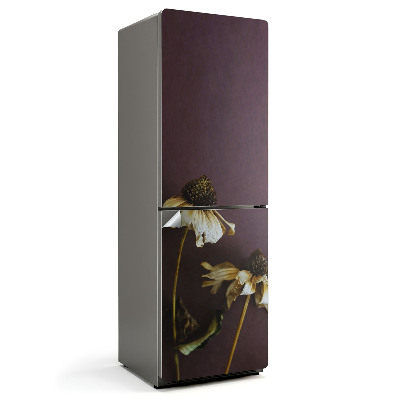 Fólie na lednici Květinové detaily v sušené formě