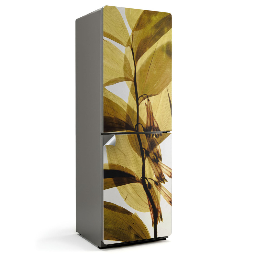 Samolepka na lednici Květinová a listová průhlednost