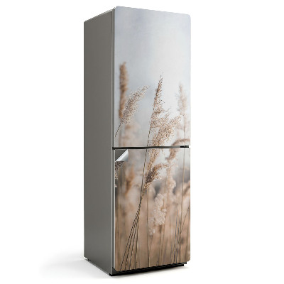 Samolepicí tapeta na lednici Zelená tráva v husté mlze