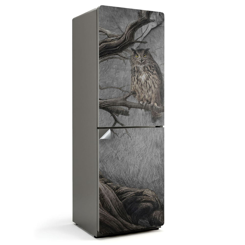 Fólie na lednici Sova na větvi v lese