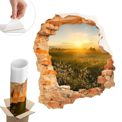 Samolepka na zeď díra 111x130 Slunečná louka