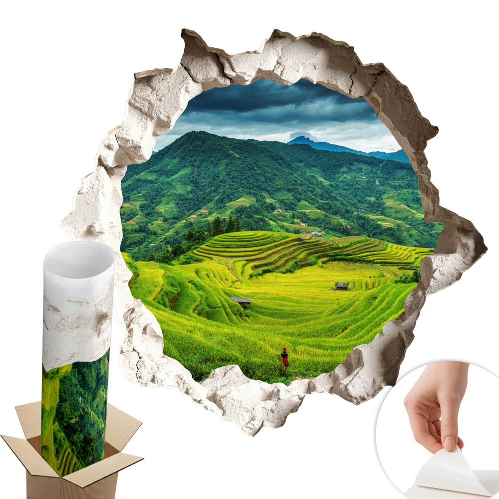 3D samolepka díra 60x57 Zelené terasy