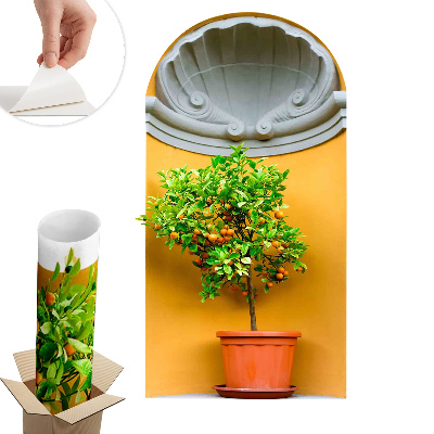 Samolepka na zeď s 3D efektem 33x60 Pomerančovník