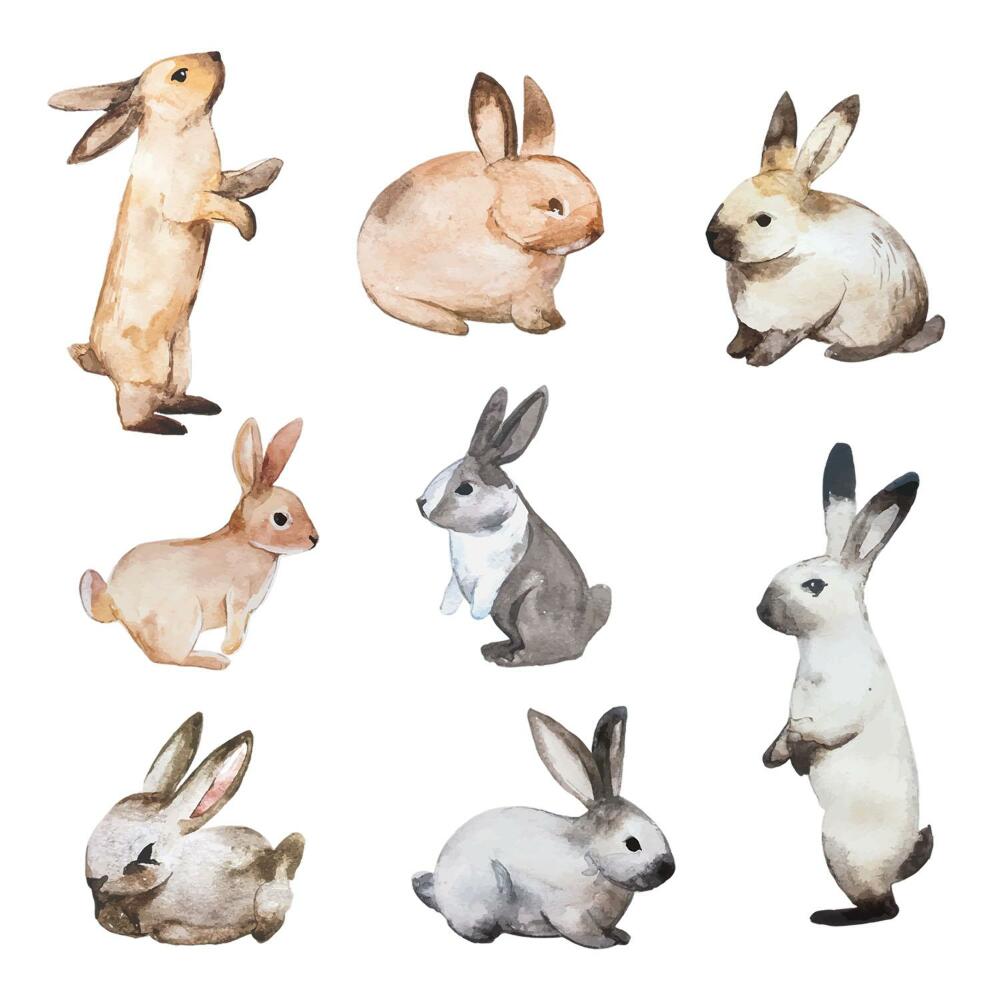 Samolepky na zeď 60x108 Zajíčci v jemném akvarelovém stylu