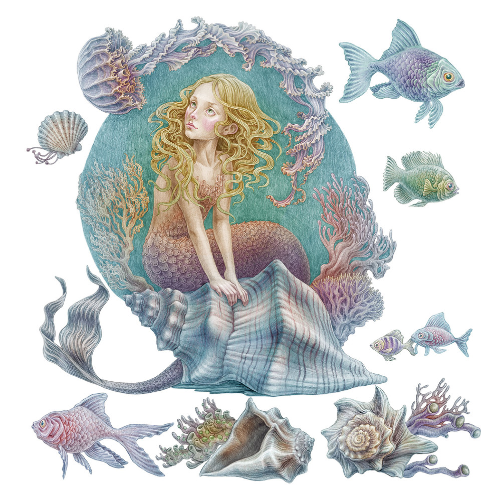 Samolepky na zeď 60x53 Rybí mušle v pohádkovém stylu kresby