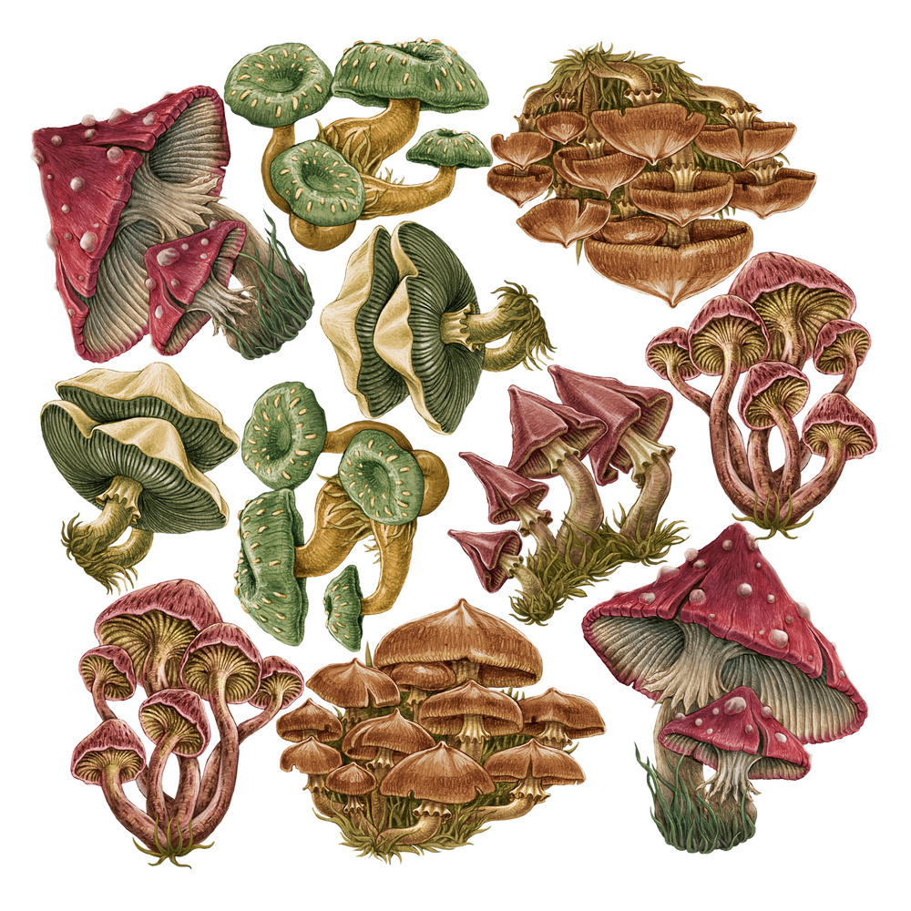 Dětské samolepky na zeď 100x48 Barevné houby s lesní vegetací