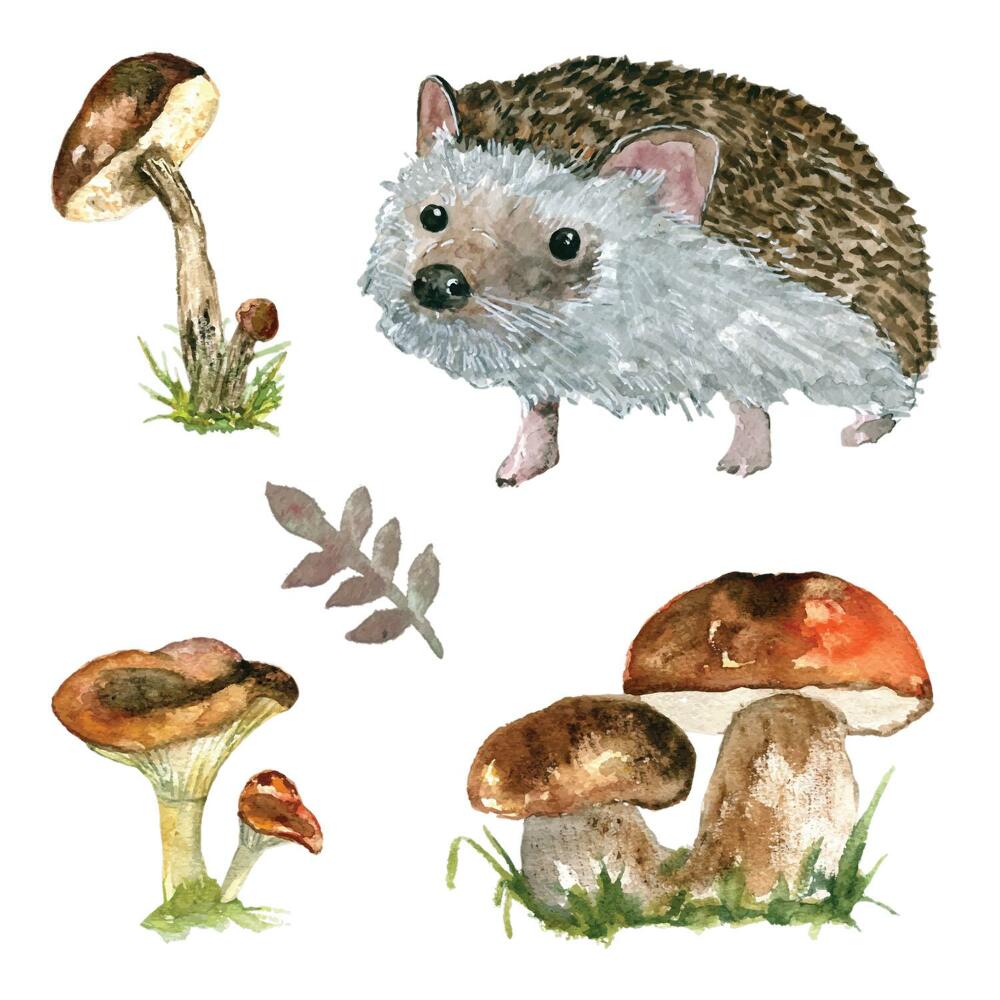 Nálepky na zeď 130x201 Akvarelové houby a Ježek v lesní krajině