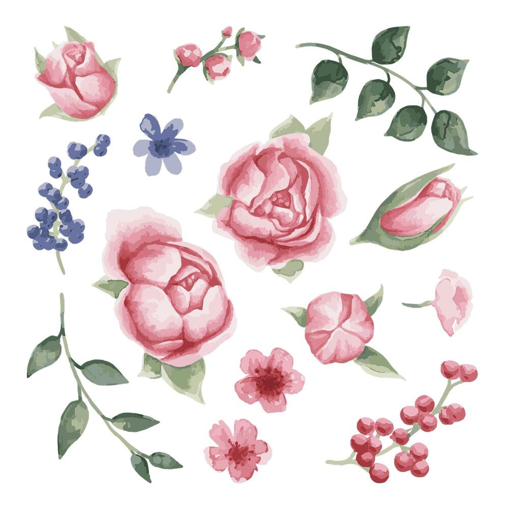 Nálepky na zeď 130x166 Jemné pivoňky v akvarelové verzi