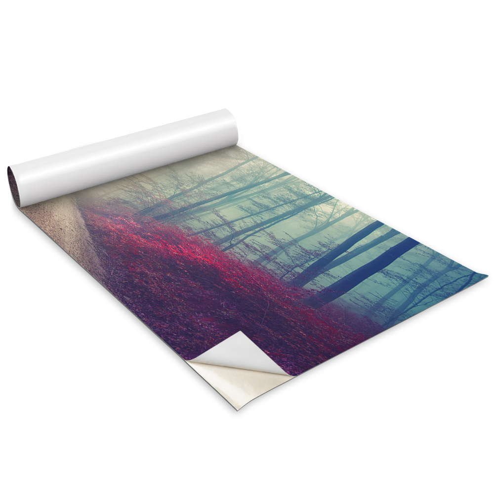 Samolepící tapeta na skříň Lesní cesta Podzimní mlha