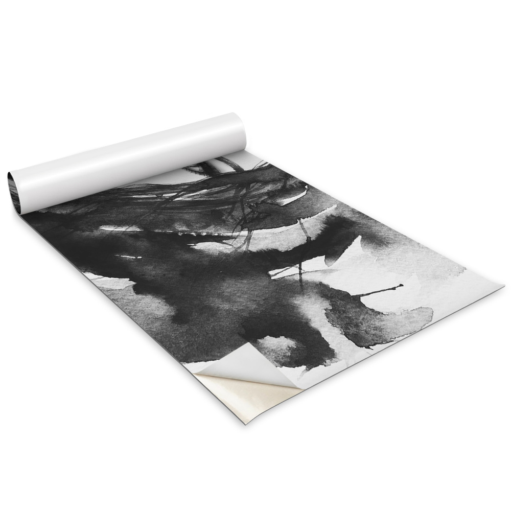 Samolepící tapeta na skříň Černobíle malovaný portrét