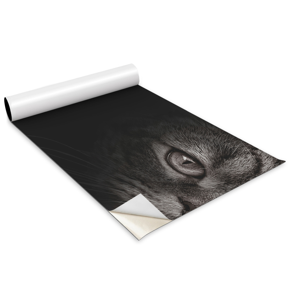 Samolepící tapeta na skříň Pes a kočka