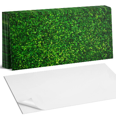 Obkladový panel do kuchyně Hustá zeď z listí